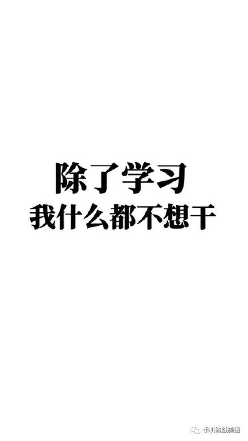 2019文字控专用手机壁纸