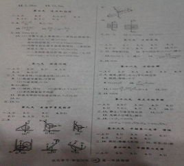 有关高一寒假作业答案