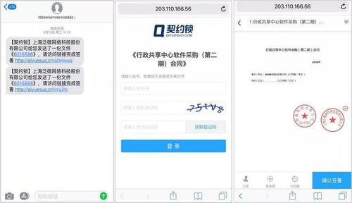 成绩查重系统：从检测到处理，一站式解决方案