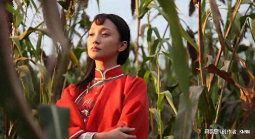电影红高粱的影史意义,中国电影的历史地位