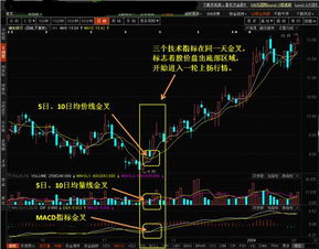 怎样在跌势中发现会涨的股