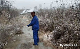 关于下雪的四字诗句