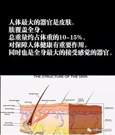 科普冷知识解说概括(科普知识冷知识)