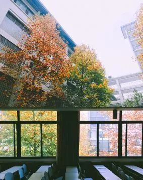 奇趣事务所丨一扇可以看到四季的窗口,新晋网红教室太美啦