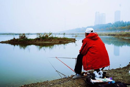 钓鱼十大等级,不要夸自己多么厉害,其实你就是一个钓鱼新手