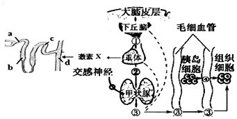 下列技术依据DNA分子杂交原理的是 A.用基因芯片诊断遗传病B.用基因工程方法治疗血友病C.检测目的基因是否已成功表达D.目的基因与载体结合形成重组分子 题目和参考答案 