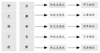 易德居风水堂 中国算命术中的天干地支