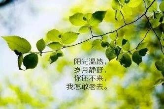 说到心坎的唯美句子,经典走心,适合发朋友圈