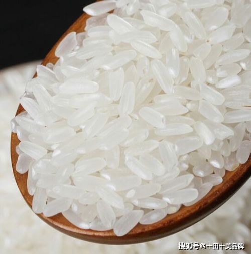 粳米和大米的区别？粳米和大米有什么区别