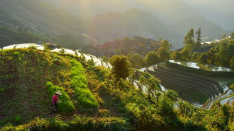 龙胜旅游地(龙胜旅游攻略必去景点)