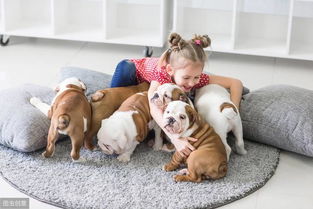 家里有小孩并且想养狗,那养这10种狗最适合家庭