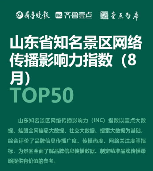 山东知名网络传媒有限公司怎么样？