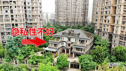 独栋小区能买吗(独栋住宅小区)