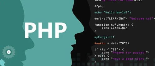 php为什么是最好的语言,php为啥是最好的语言