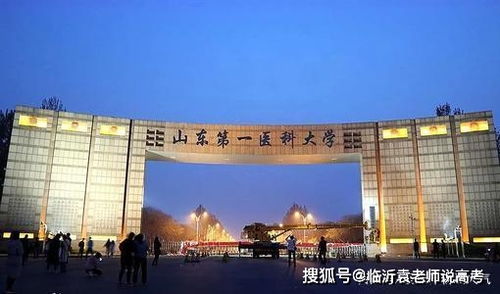 山东学医最好的大学 山东第一医科大学是985院校还是211院校