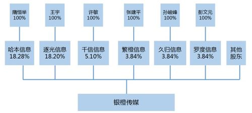 有没有发起人持股数量不是整数的