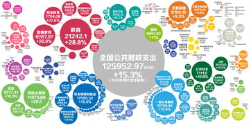 公共财政,什么叫公共财政