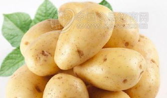 土豆的作用及功效作用 土豆的营养价值和功效作用