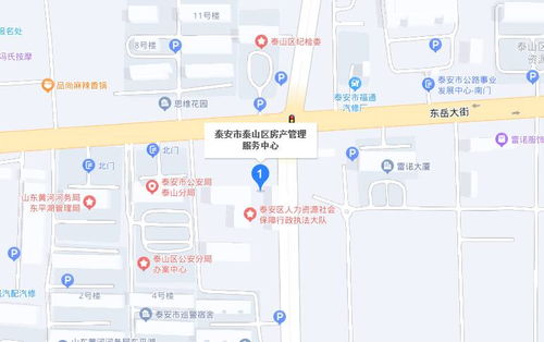 泰山哪里可以停车(泰安市政府停车场平时免费)