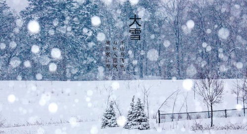 今日大雪,老话 大雪不冻,惊蛰不开 是啥意思 谚语有啥预兆