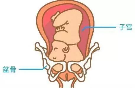胎儿入盆什么感觉什么症状 入盆的表现都有哪些