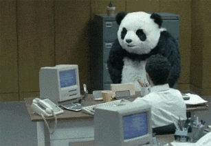 关于熊猫这个全世界最可爱的处女座战兽,我们把它的蠢萌伪装揭掉了 