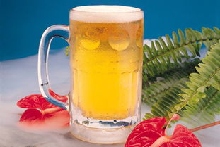 清凉夏季啤酒最佳伴侣 四大饮用准则需谨记