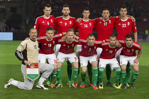 塞尔维亚vs斯洛伐克直播,2010南非世界杯小组成绩