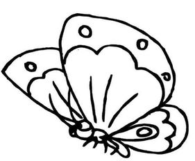 简单又漂亮的蝴蝶怎么画,1一3岁的蝴蝶简笔画？