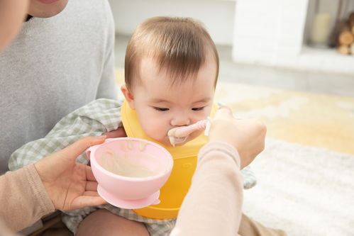 宝宝辅食添加不当,会影响孩子身高智力语言发育,妈妈要重视