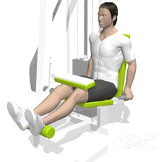 各种健身器械的练腿动图 锻炼腿部肌肉的动作 