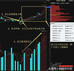 突破历史最高价选股公式