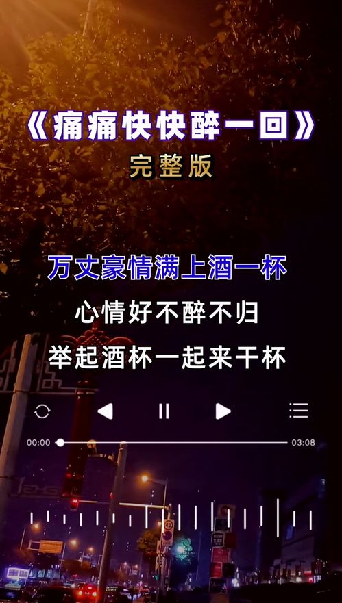 痛痛快快醉一回 经典歌曲 完整版 