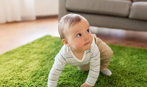 8个月宝宝高智商的表现,家长智能训练要跟上,宝宝会越来越聪明