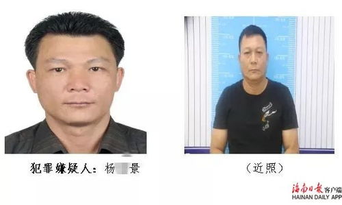 视频 长期在海南11市县作案,这些 算命大师 被抓 受害人速报警