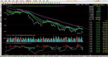 5分钟图上看30分钟macd 放大多少倍