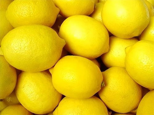 床头放柠檬的正确方法(床头放柠檬有科学依据吗)