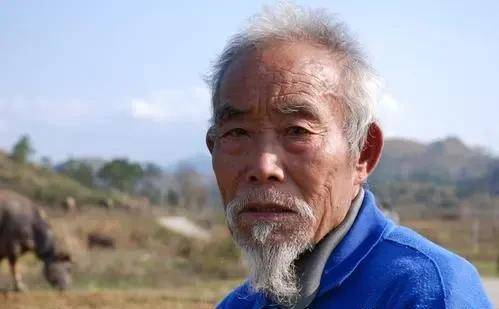 梦见死人复活又死去死之前还弄我一身大便(梦见死人复活拉我是什么意思)