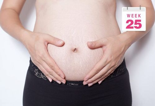 怀孕1 40周完整详细的胎儿发育过程图