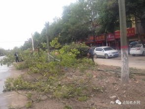 泌阳县属于哪个市,河北泌阳县属于哪个市