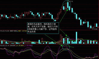 揭秘：为何股票交易中，卖出价高出买入价五元？