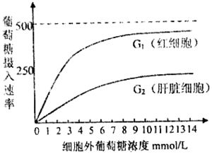 同卵双生子有差别的原因为什么不是基因重组？还有一母生九子，九子各不同的原因为什么是基因重组？