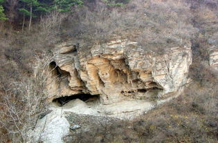 这块骨头来自一个神秘人种,证明16万年前古人类已登上青藏高原