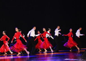 舞动青春，燃情瞬间！北京舞蹈高考培训班，助力梦想照亮未来！