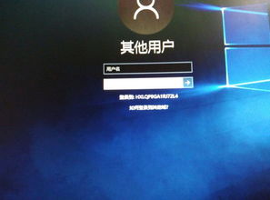 电脑win7升级win10要多少钱