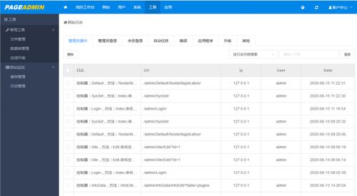 大米cms网站文章更新站群系统