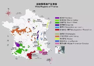 连老司机都不一定知道的法国酒冷知识 