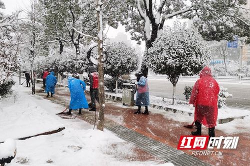 雪地里忙碌的身影 铲雪除冰保安全