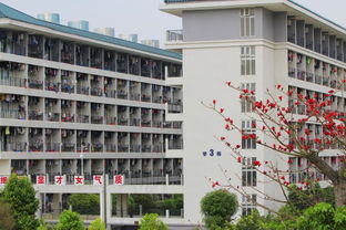 广州华夏职业学院宿舍,广州华夏职业学院宿舍条件