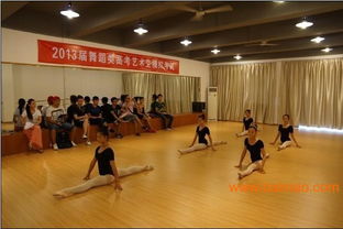 舞蹈艺考高考培训工作：为考生打造全方位的备考方案